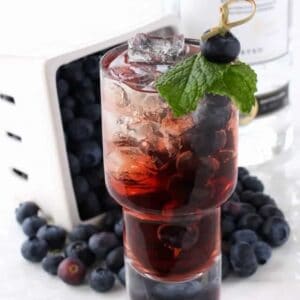 Blueberry Vodka Cooler | The Best Low Carb Vodka Drink Recipe