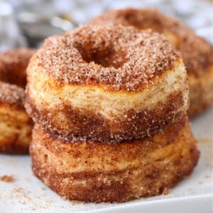 Cinnamon Sugar air fryer donuts on plate