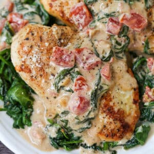 Chicken Florentine served on a plate with spinach and tomatoes in a creamy sauce.