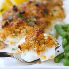 haddock recipes