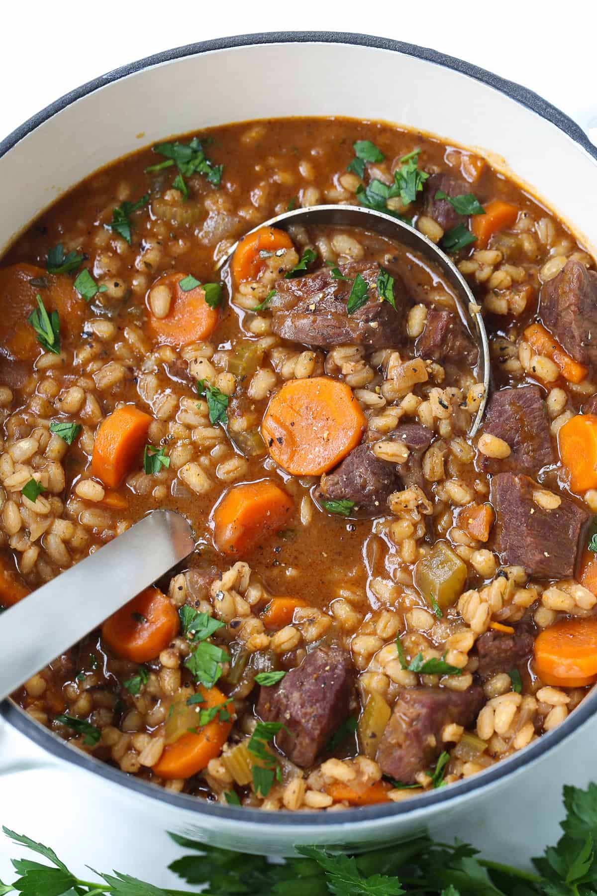 beef barley soup in pot with ladle