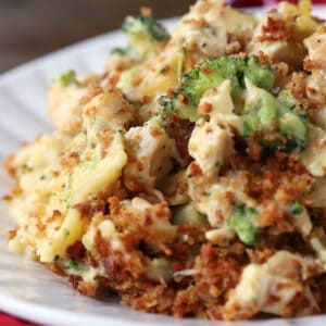 Chicken and broccoli casserole on a plate with bread crumbs