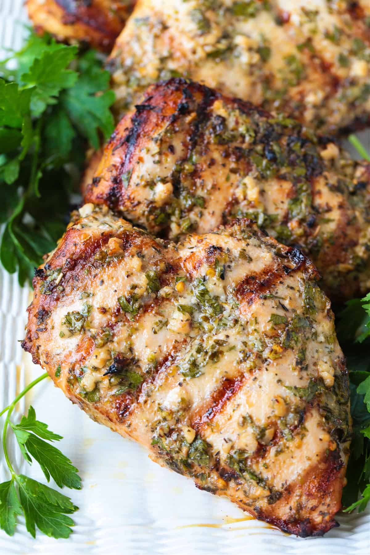 grilled chicken breasts on a white platter with parsley