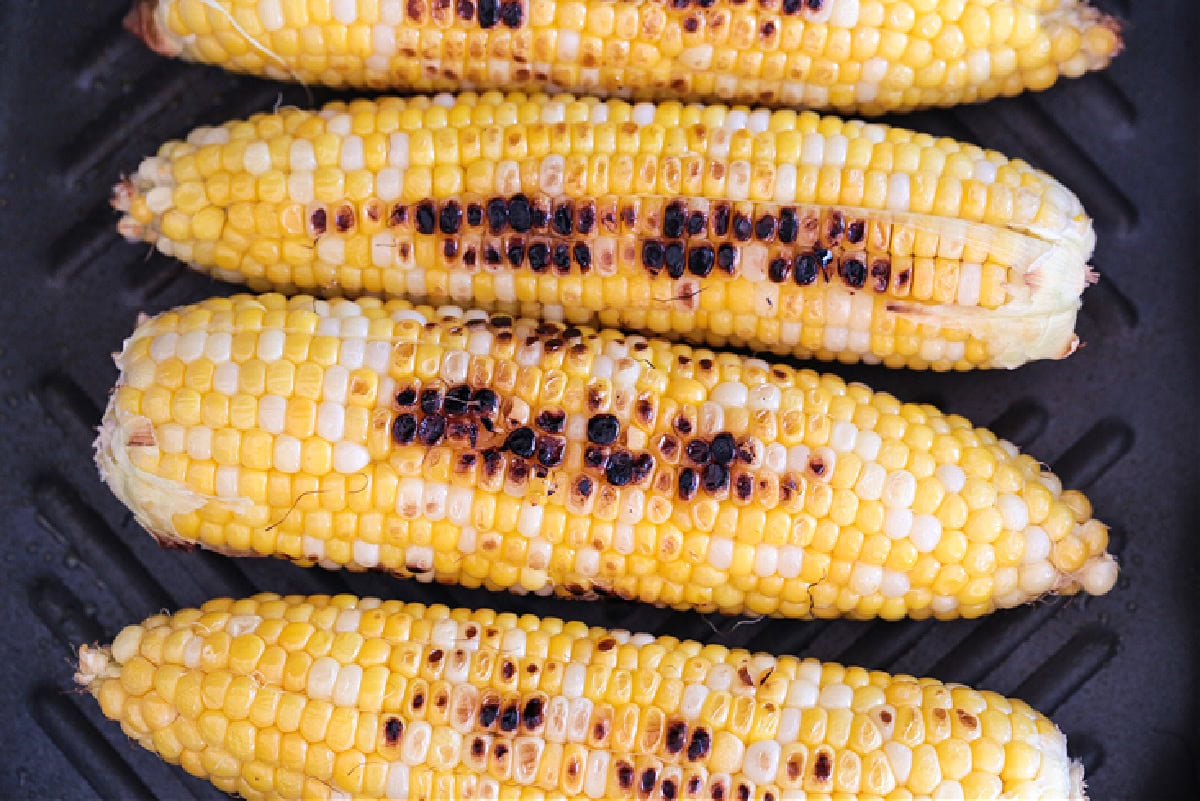 corn on the cob with grill marks