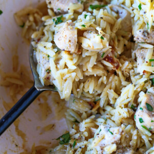 chicken and orzo dinner with a large spoon for serving