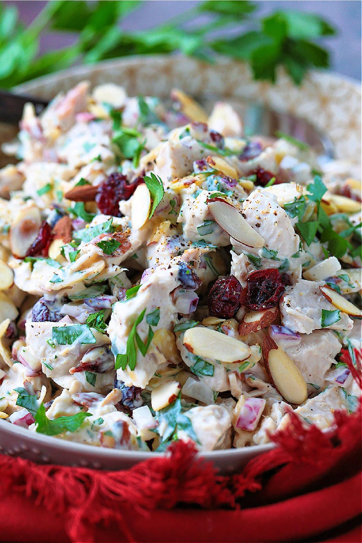 turkey salad in a bowl with parsley