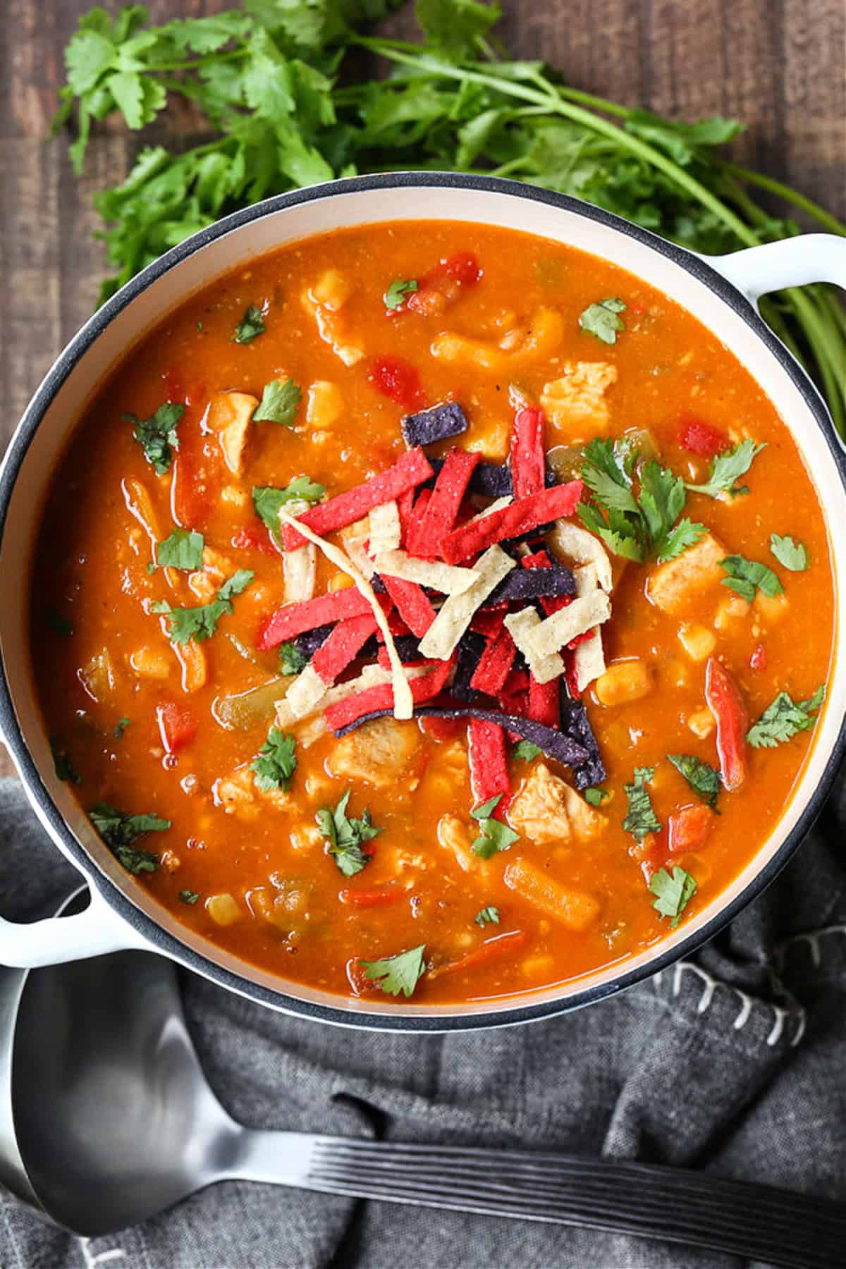 pot of soup with cilantro and ladle on the side